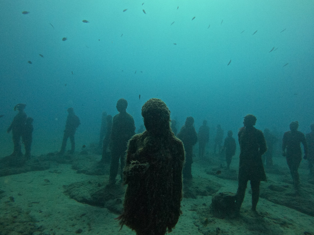 Pura Vida Diving-布兰卡滩必去景点