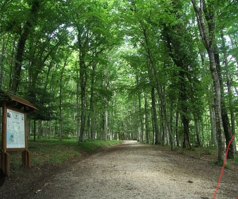Foresta Umbra-Monte Sant'Angelo必去景点