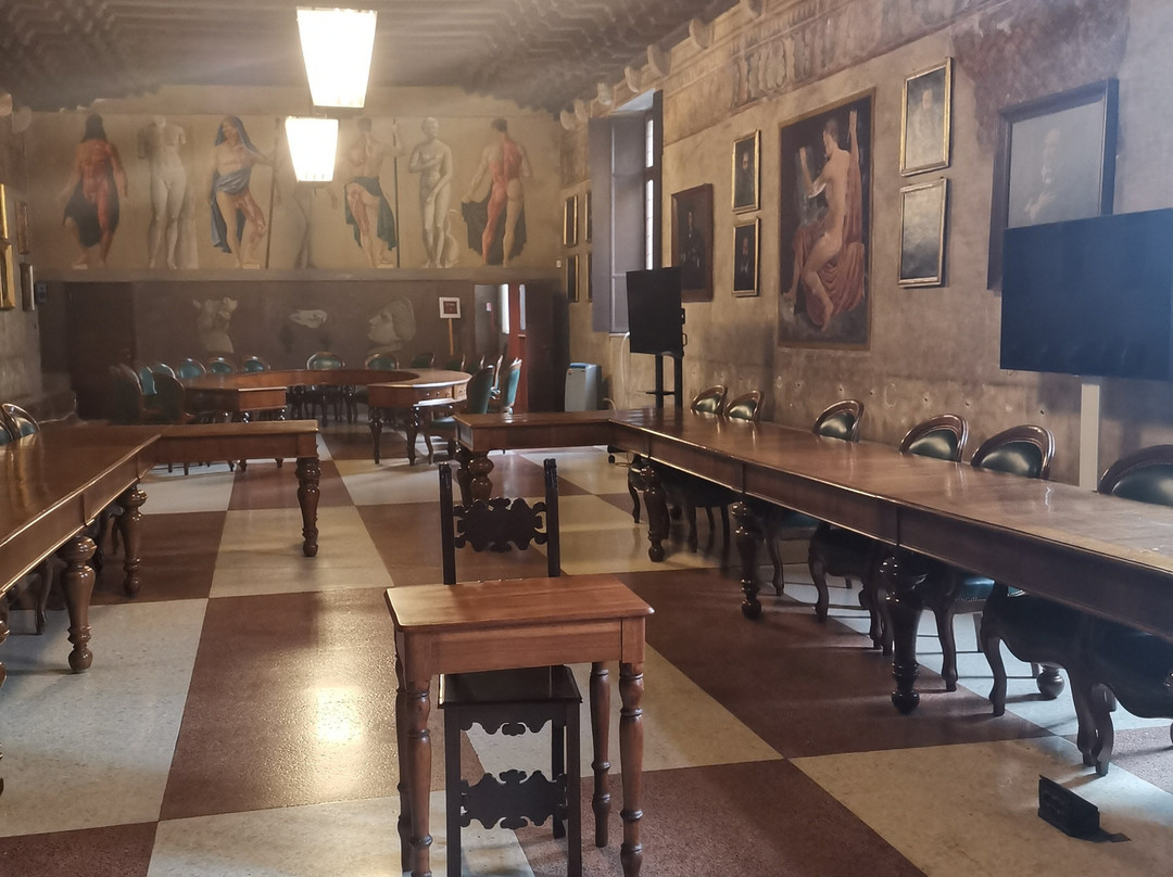 Palazzo Bo-帕多瓦必去景点