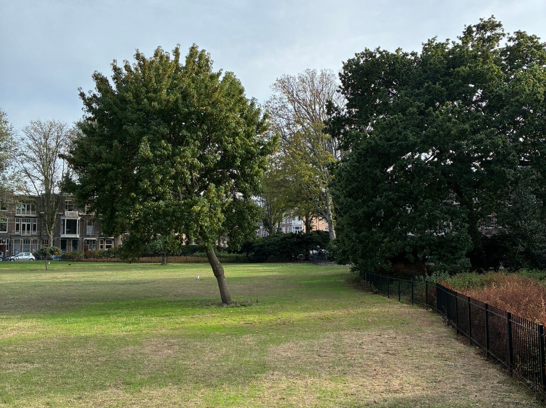 Frederik Hendrikplein-斯赫弗宁恩必去景点
