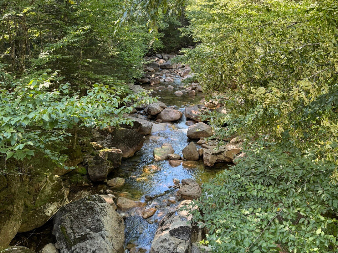 Flume Gorge-林肯必去景点