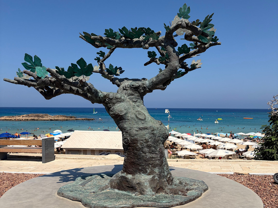 Fig Tree Bay Beach-普它肋斯必去景点
