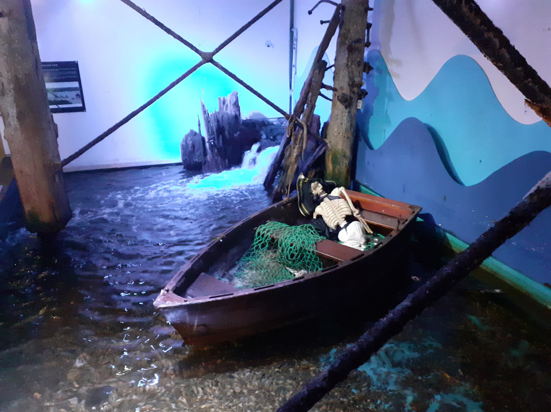 Anglesey Sea Zoo Sw Mor Mon-Brynsiencyn必去景点