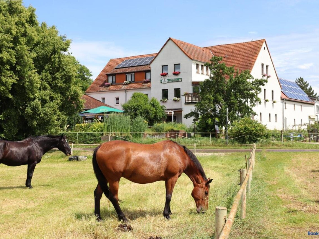 Goseck酒店住宿-Landhotel Grober's Reiterhof