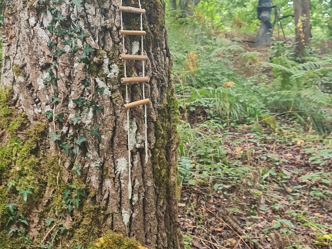 Laberinto Mitológico De Cangas De Onís-Mestas de Con必去景点