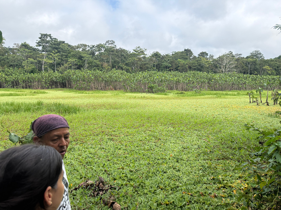Lupuna Jungle Tours主图