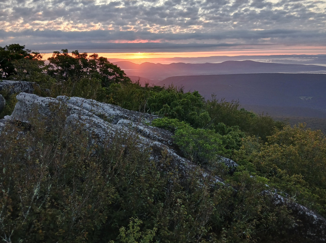 Bear Rocks Preserve-戴维斯必去景点