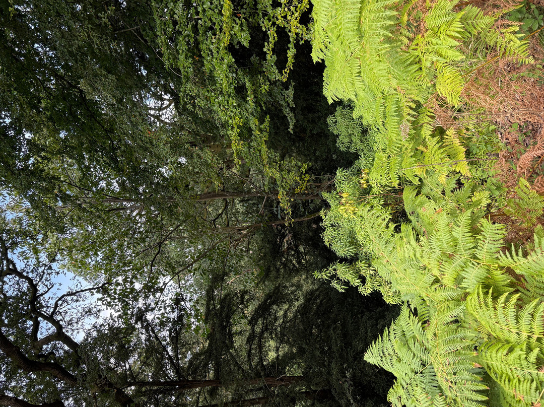 Kew Wakehurst-Haywards Heath必去景点