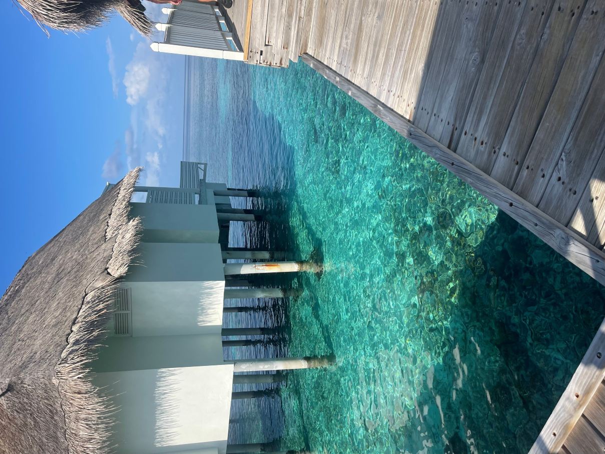 盛泰澜马尔代夫中央格兰德岛-旅行者