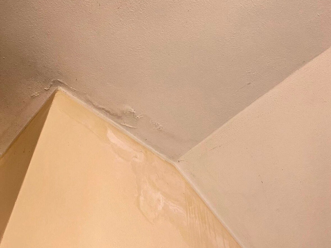 康帕席欧罗莱农庄主图
