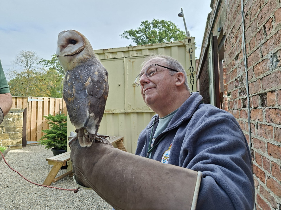 Thirsk Birds Of Prey Centre-瑟斯克必去景点