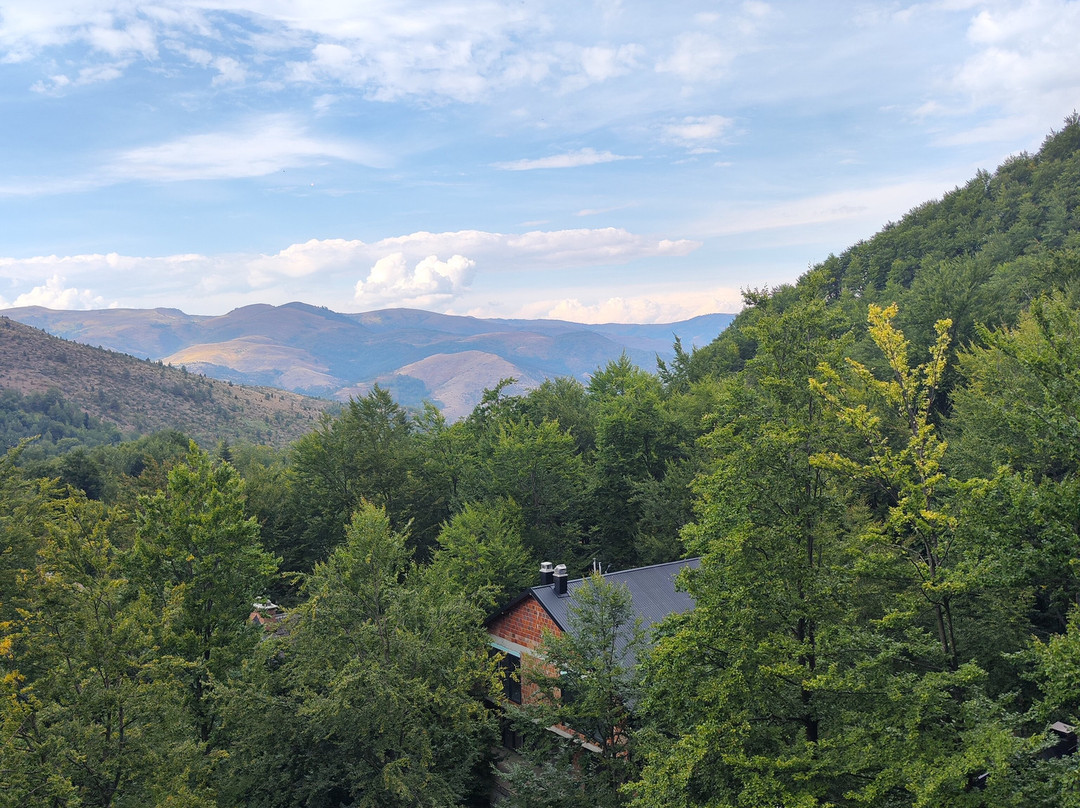 Brezovica Hotel & Spa主图