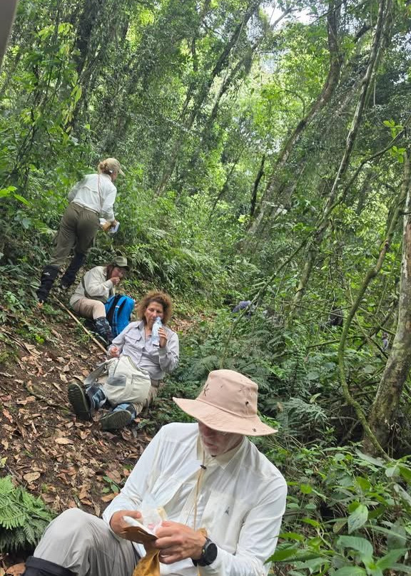 Bwindi Impenetrable Forest-Western Region必去景点