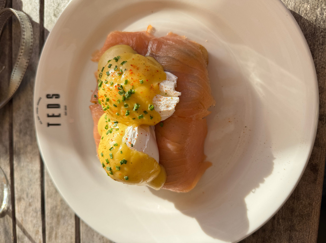 Teds Tilburg - All Day Food & Drinks
