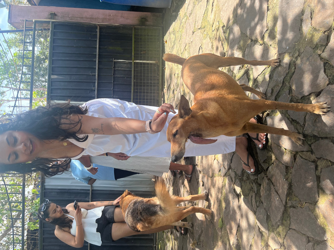 Animal SOS Sri Lanka-阿杭玛必去景点