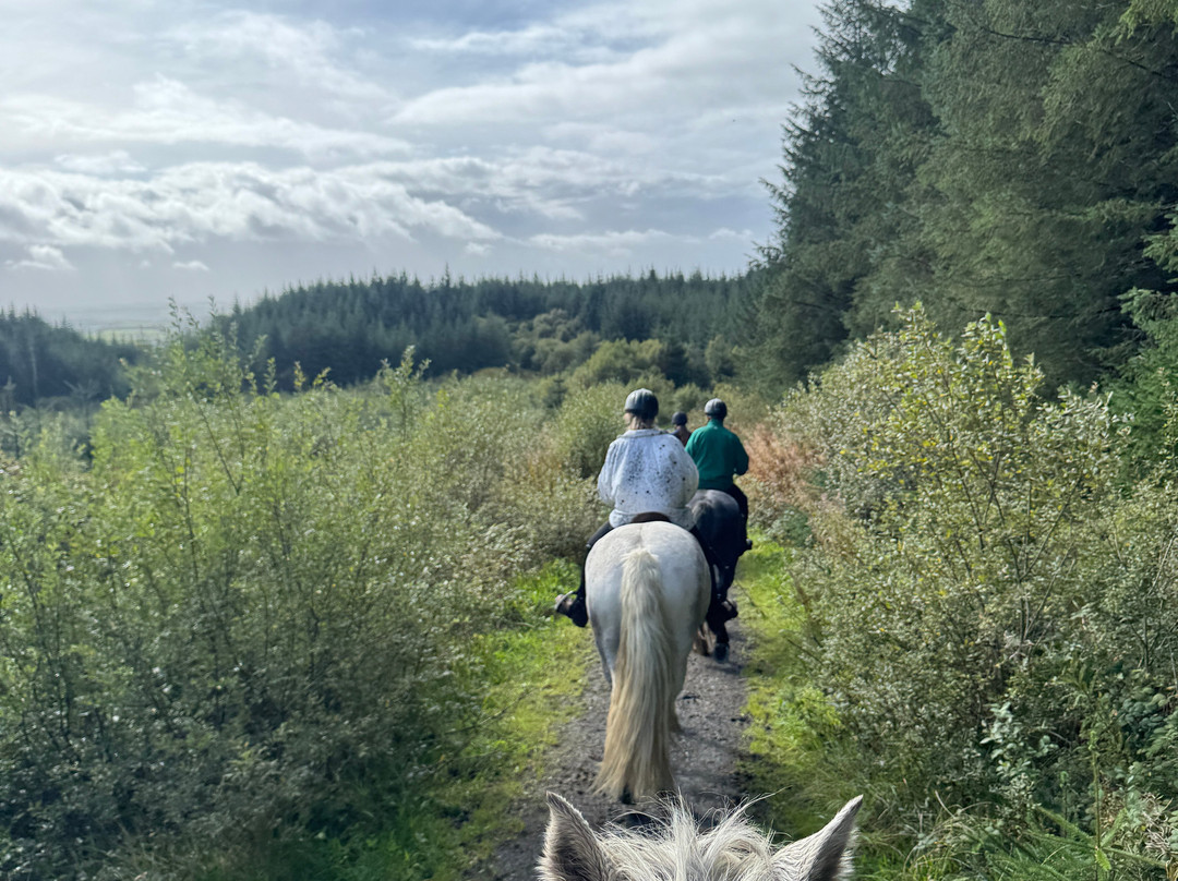 Mountain View Horse Riding Centre-Lisdoonvarna必去景点