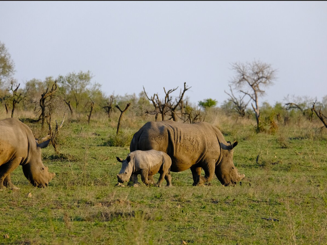 Wild Africa - Tours-班布里必去景点