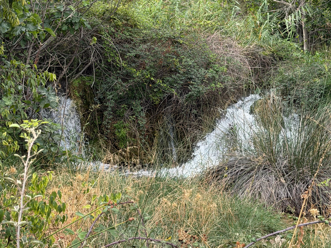 Parque Natural de las Lagunas de Ruidera-Ruidera必去景点