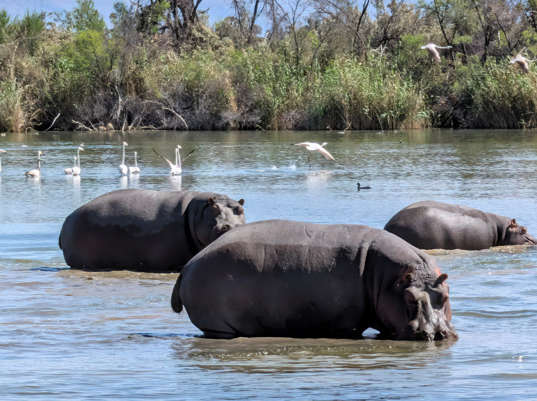 Inverdoorn Private Game Reserve-开普敦中心区必去景点