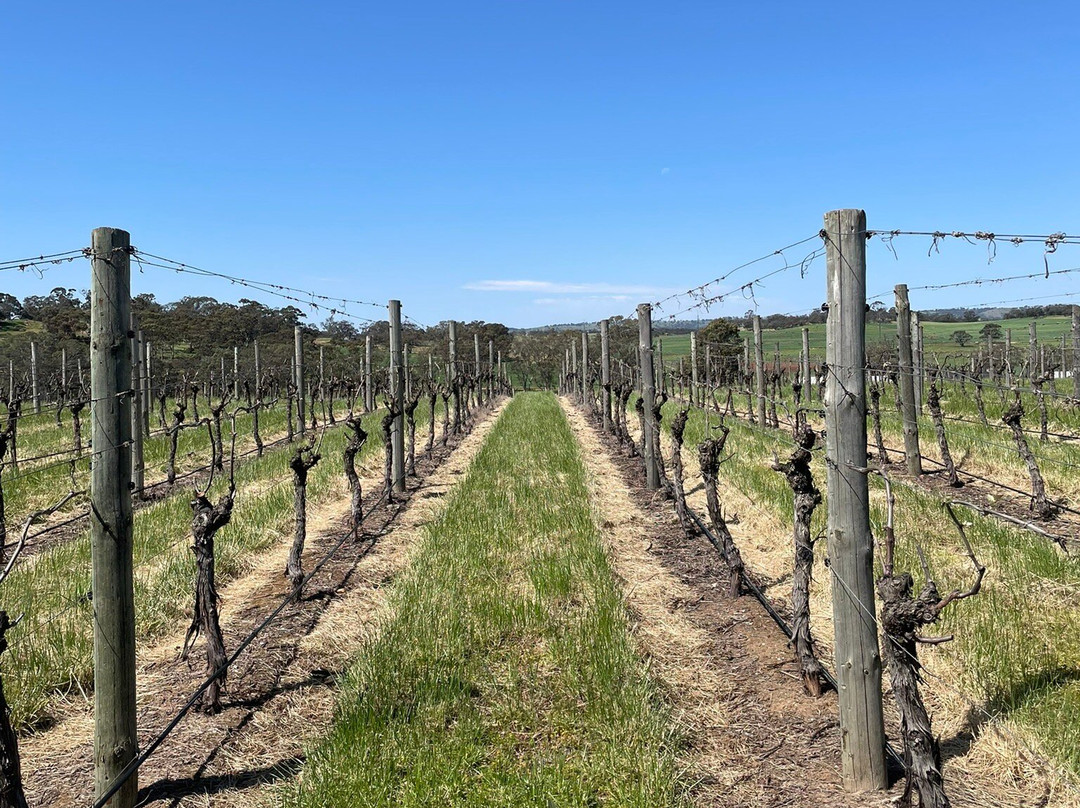 Barossa Valley Estate-Marananga必去景点