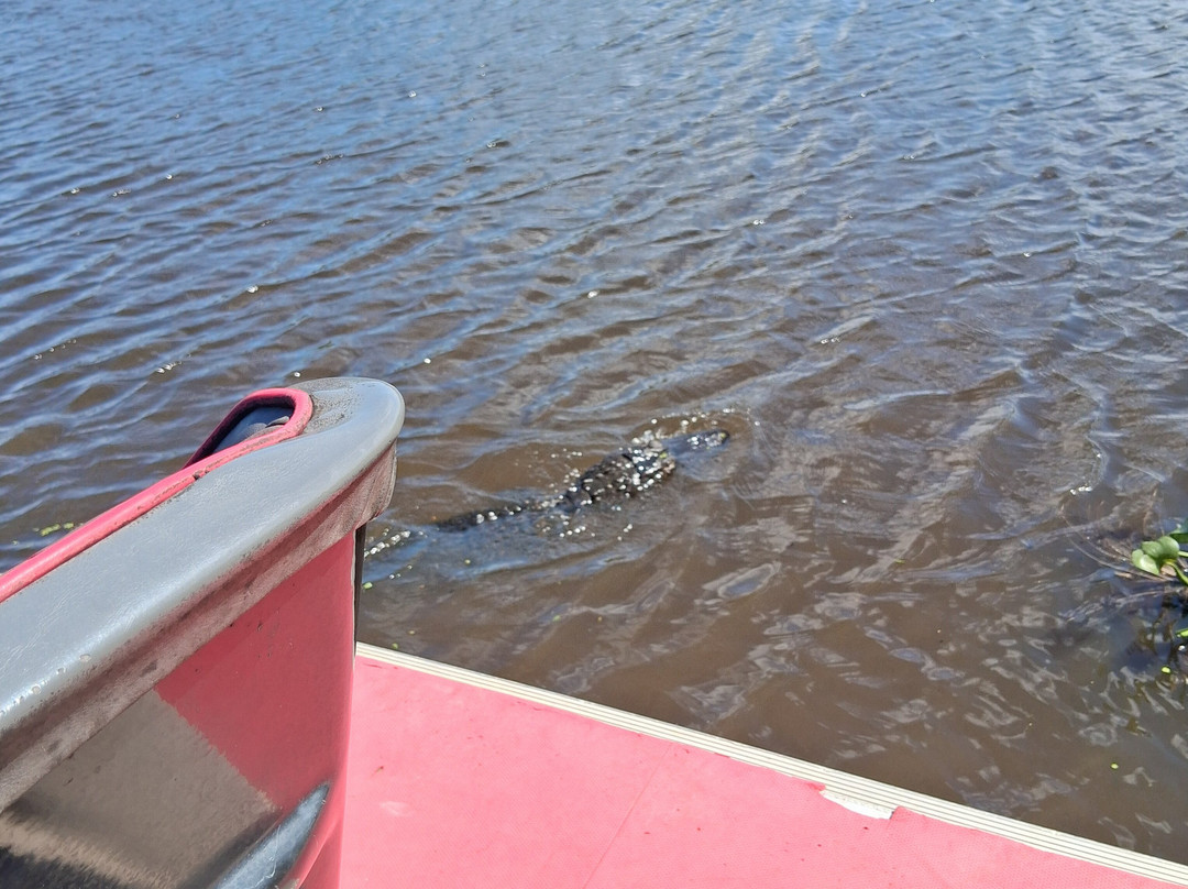 Ragin Cajun Airboat Tours-新奥尔良必去景点