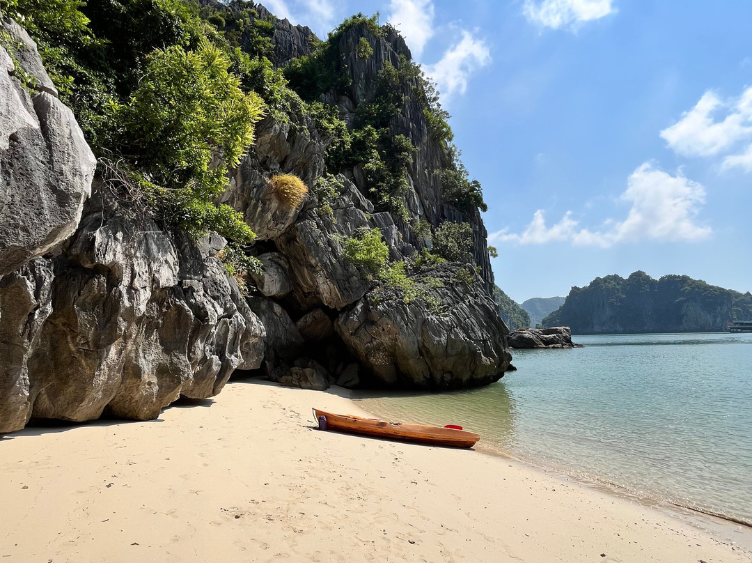 Aduta Cruise-Cat Ba Town必去景点