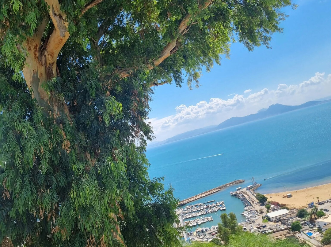 Sidi Bou Said-蓝白小镇必去景点
