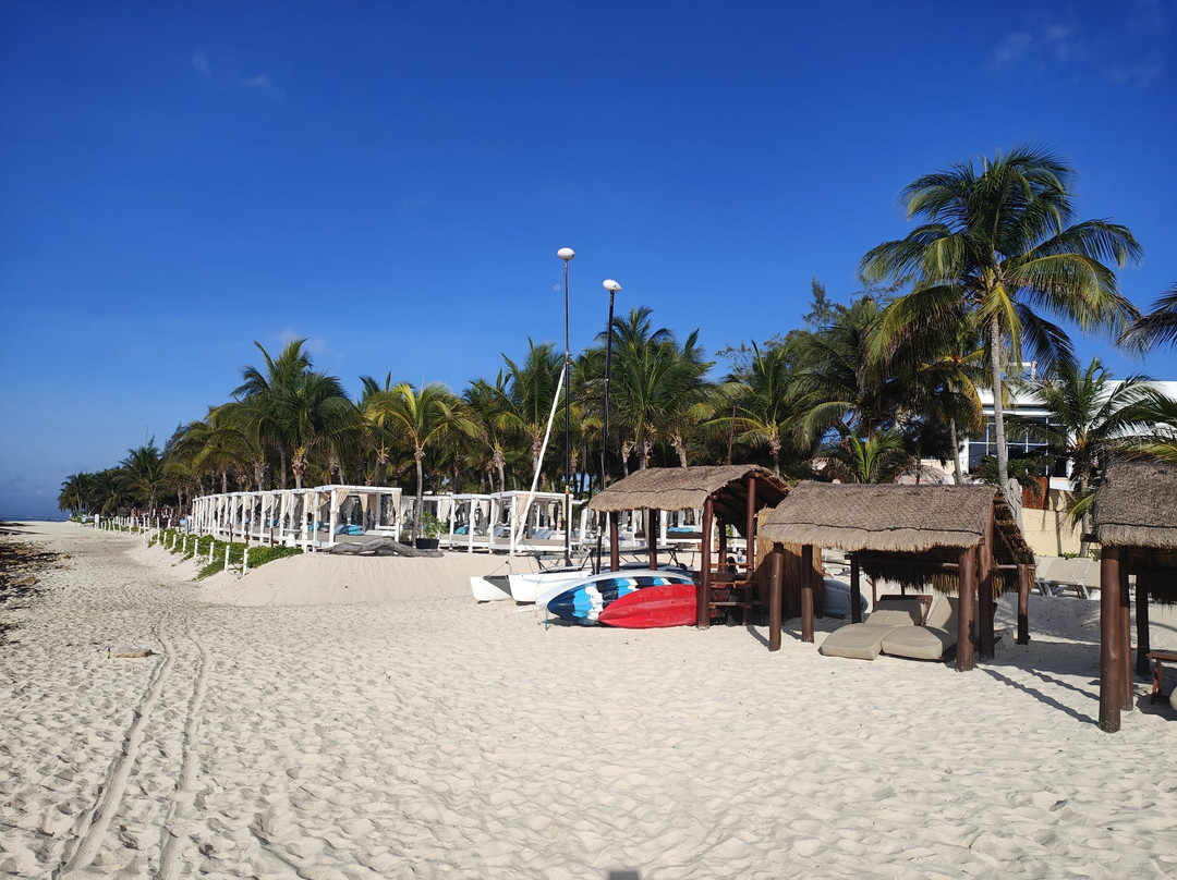 The Fives Beach Hotel & Residences主图