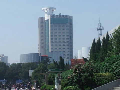 泰元商务大酒店-客卧