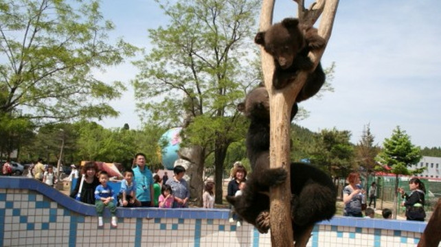 跑马岭-济南市必去景点
