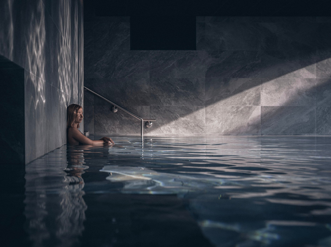 奥贝奈酒店住宿-Le Parc Hôtel Obernai & Yonaguni Spa