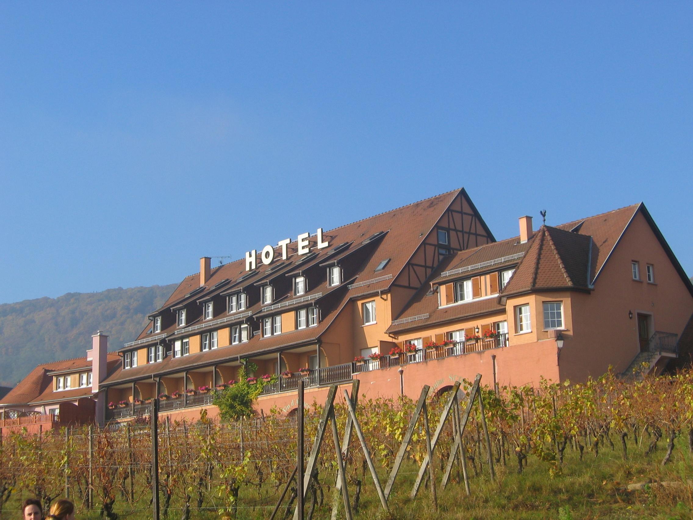Hotel le Relais du Vignoble-客卧