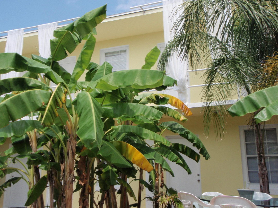 Seawalk Hotel and Spa