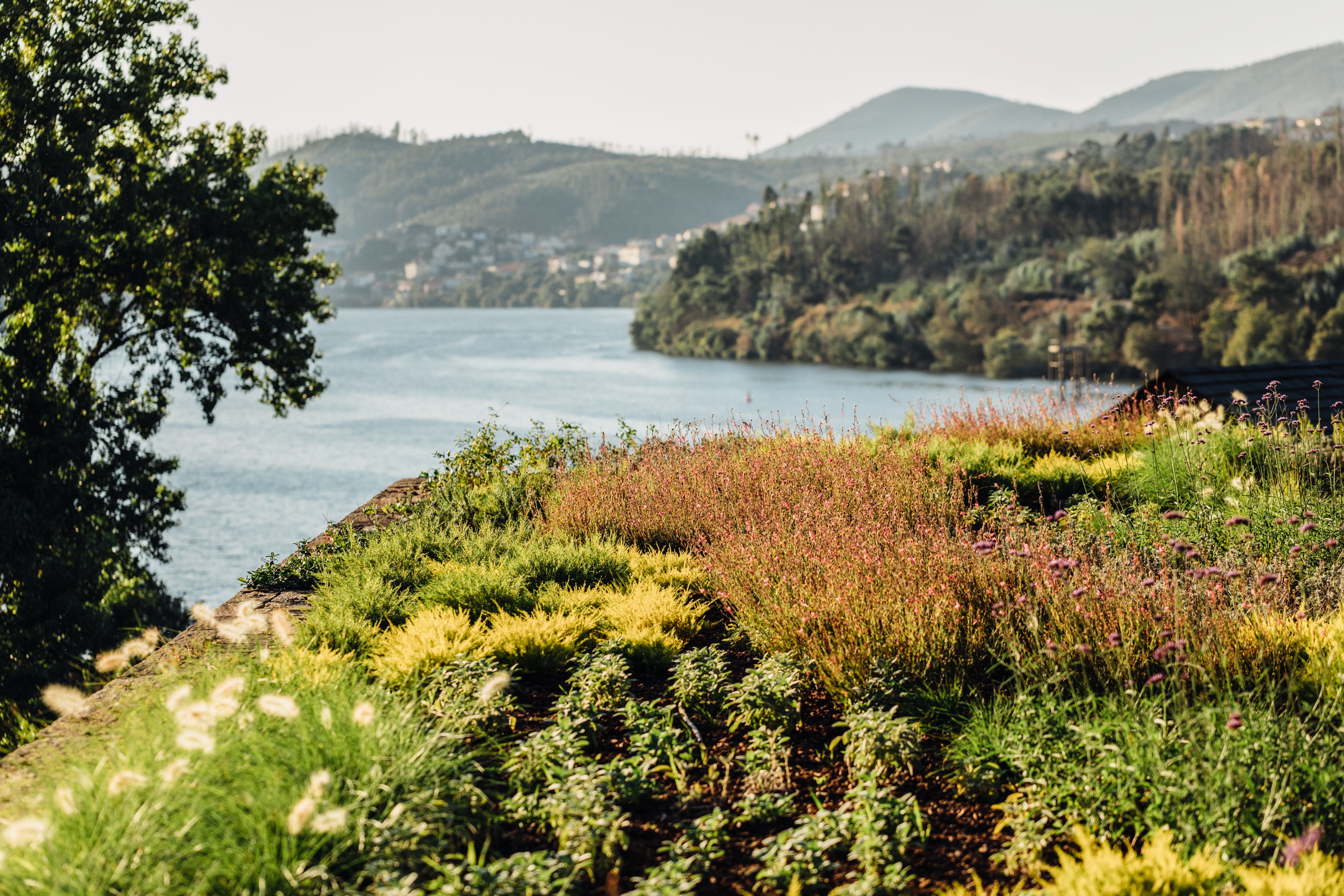 Octant Hotels Douro-官方