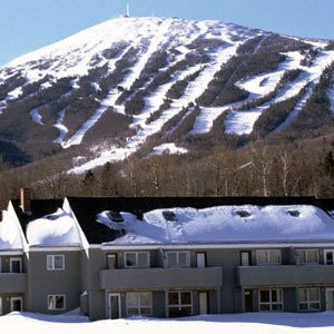 Sugarloaf Mountain Hotel主图