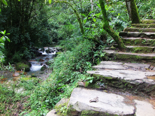 哀牢山国家级自然保护区-新平彝族傣族自治县必去景点