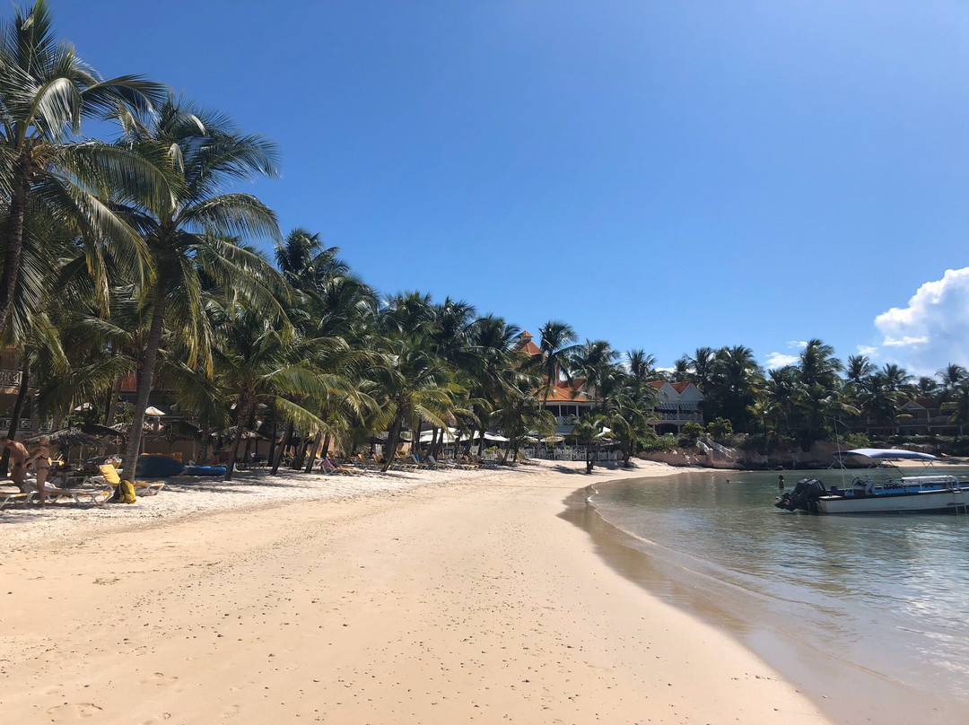 Coco Reef Resort and Spa主图