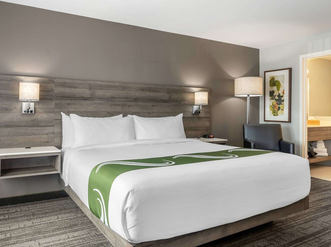 Quality Inn & Suites Amsterdam主图