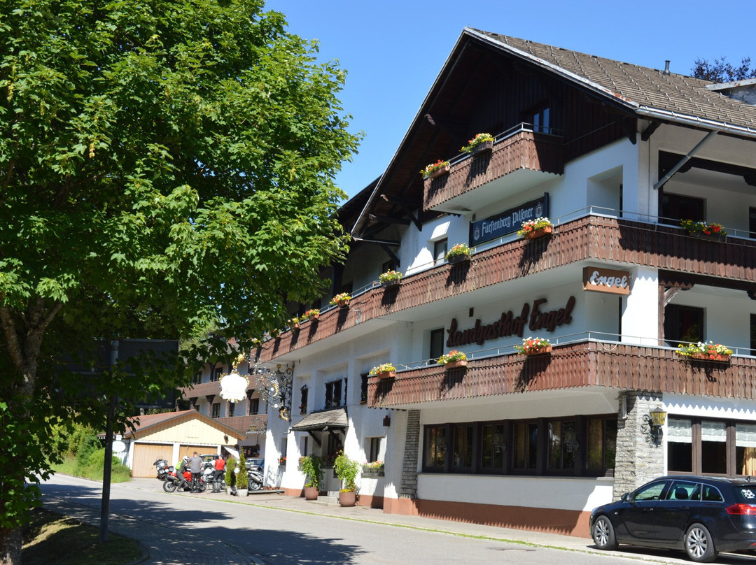 Alemannenhof Hotel Engel主图