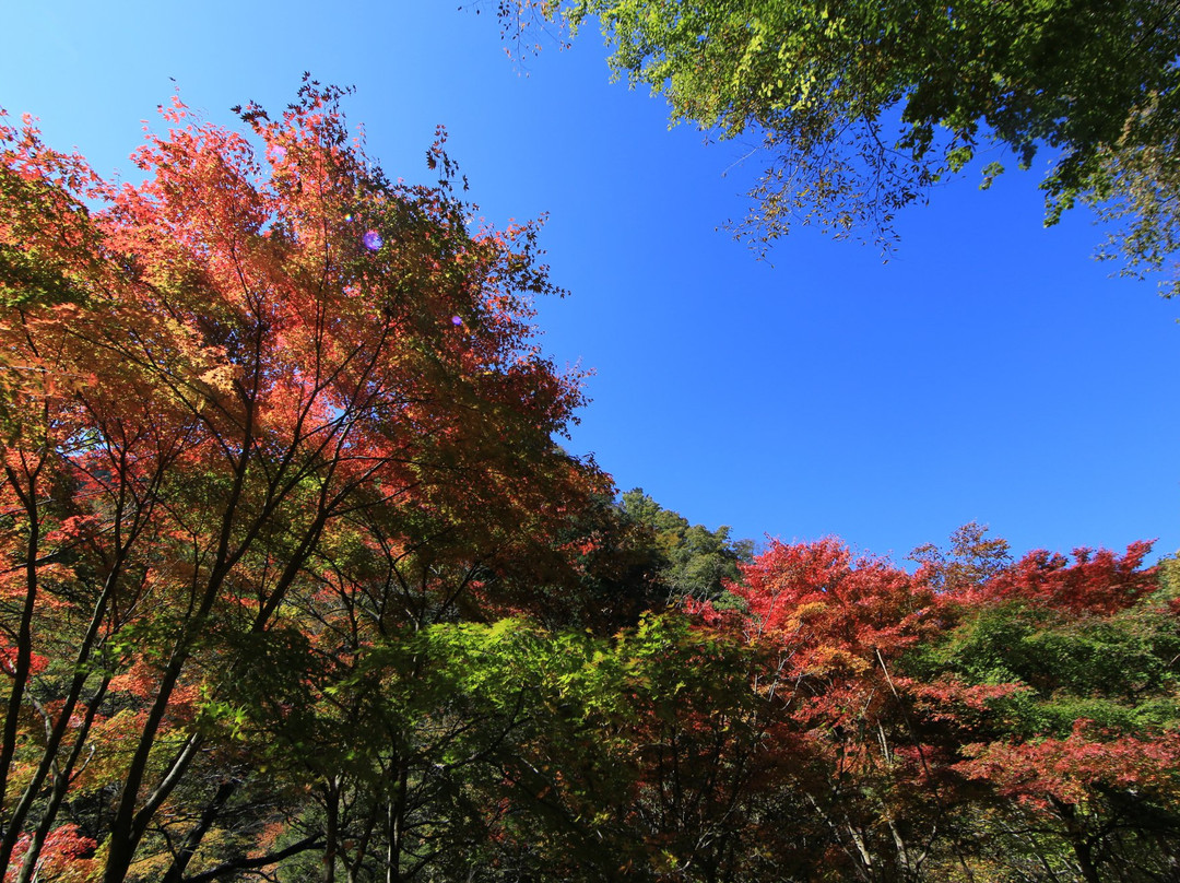 Kusagyu Otaki-鹿沼市必去景点