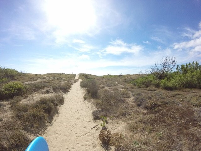 Island surf school景点图片