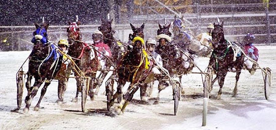 Northville Downs-诺斯维尔必去景点