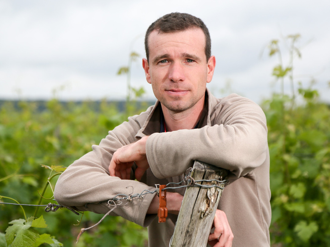 La Chevallerie - Gaëtan BRUNEAU wines景点图片