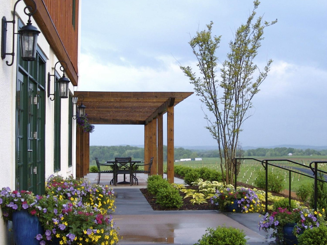 Barren Ridge Vineyards