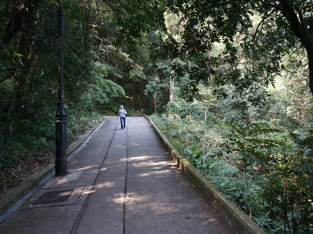 Old Peak Road