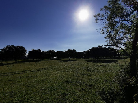 Ruta Senderismo Galapagar - San Lorenzo de El Escorial