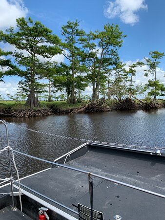 AirBoat Rides at Midway景点图片