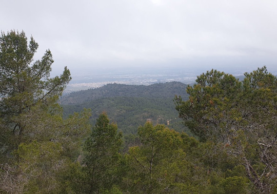 Pico Del Águila-Sangonera La Verde必去景点