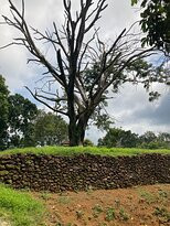 Lukut Muzium (Muzium Lukut)-波德申必去景点