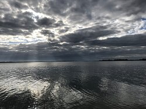 Salt And Savagery Adventure Charters-Melbourne Beach必去景点